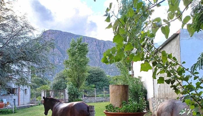 Complejo Los Rosales Cafayate -  Instagram - Cafayate