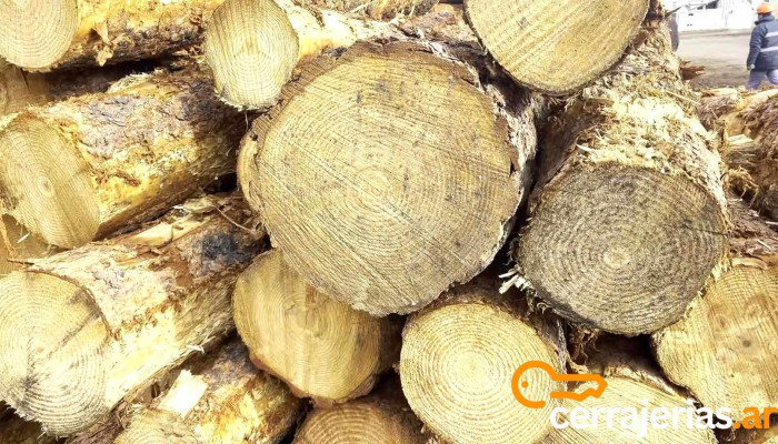 Corfone Sa Las Ovejas -  Videos - Las Ovejas