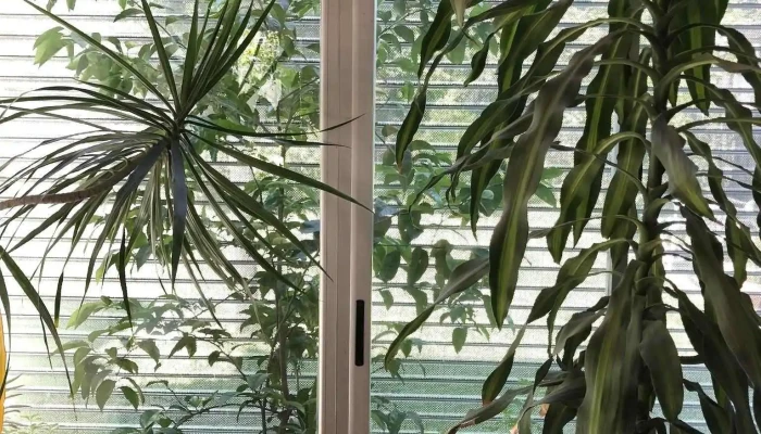 Cortinas Esteban -  Interior - Rosario