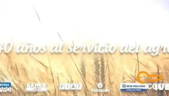 Distribuidora Almafuerte - Paraná
