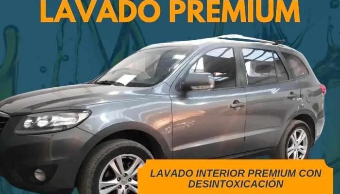 Dvj Srl - Centenario