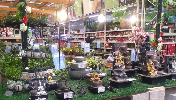 Easy -  Puntaje - Mendoza