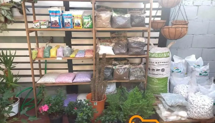 El bunker de las flores - Misiones