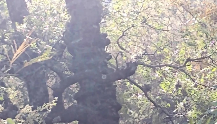 El Gracian Ingreso En Pomancillo Ubicacion - San Fernando del Valle de Catamarca