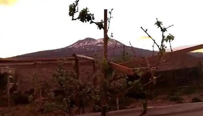 El Porton -  Videos - Buta Ranquil