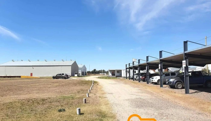 Focseed Sa - Río Cuarto