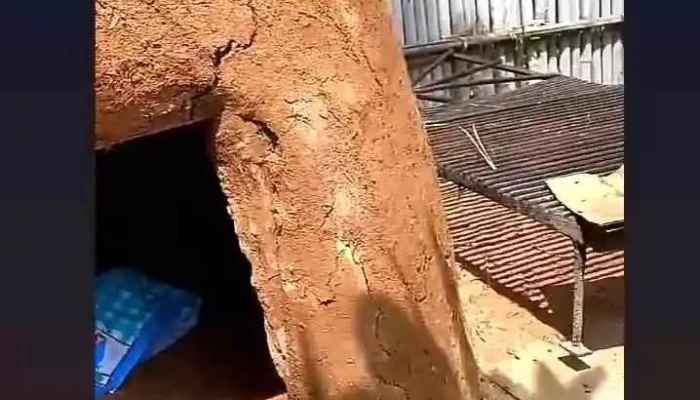 Galpon La Empalizada Videos - San Miguel
