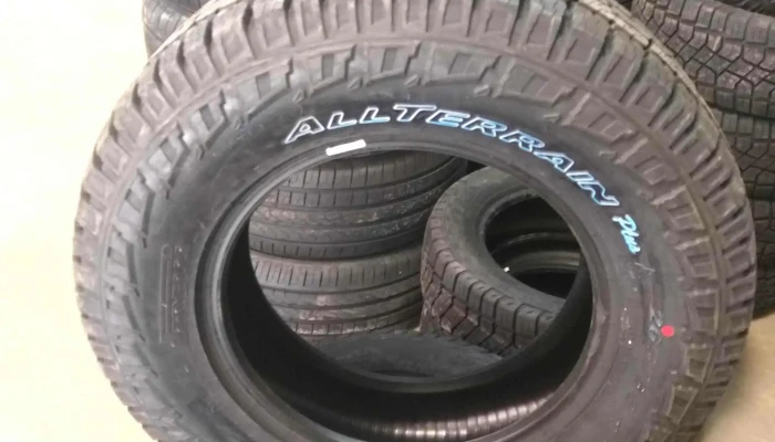 Gomeria Puerta Neumaticos Pirelli Sitio Web - San Martín de los Andes