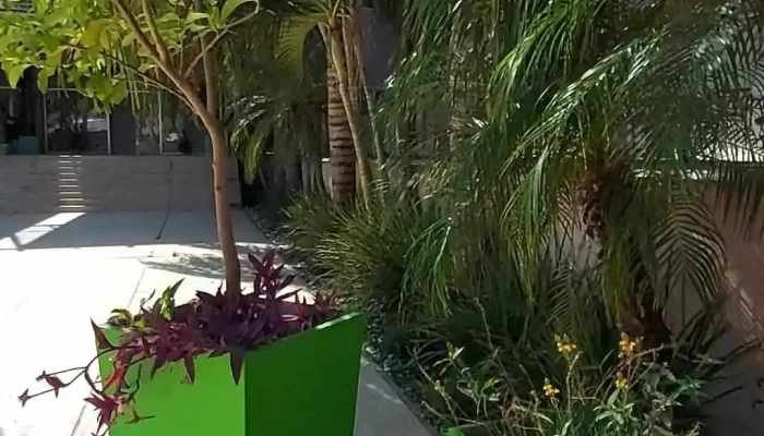 Hotel Gualok -  De Los Visitantes - Sáenz Peña