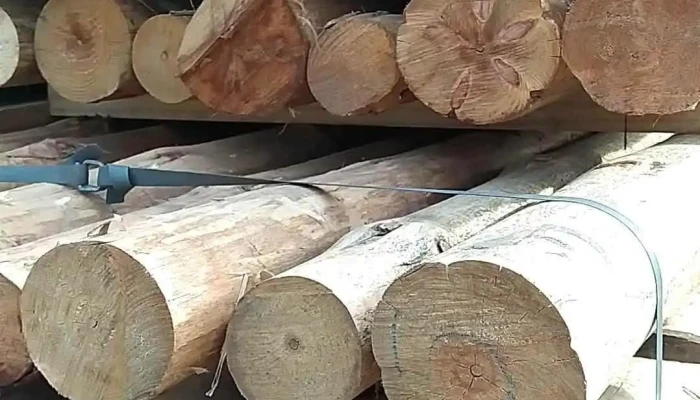 Kuseman Maderas -  Del Propietario - Coronel Moldes