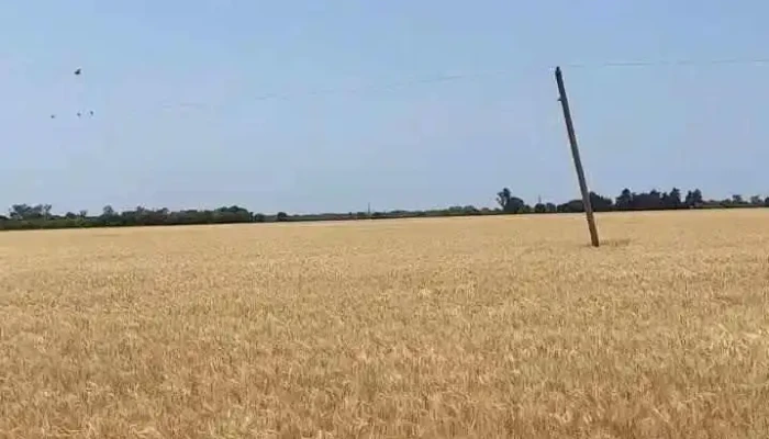 La Clotilde -  Videos - La Clotilde