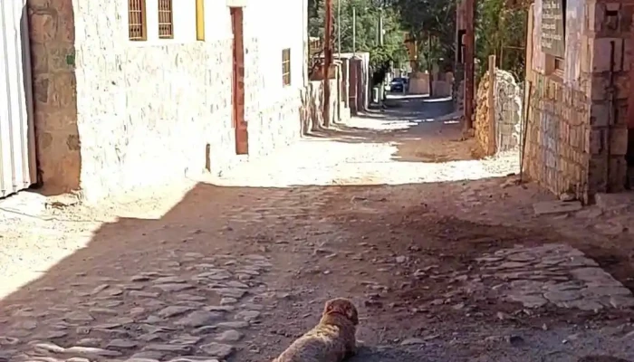 La Pirquita Alojamiento -  Exterior - Tilcara