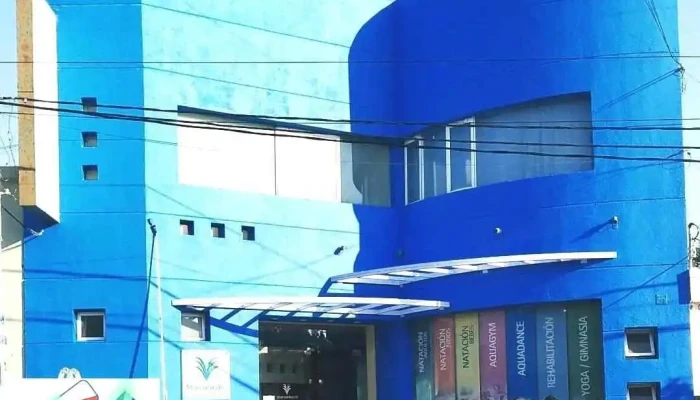 Martinez -    Pintor De Obra Del Propietario - Monte Cristo