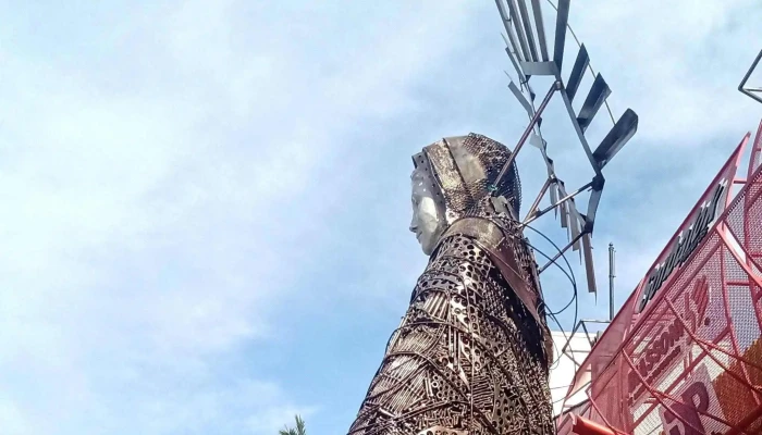 Mecan -  Donde - Venado Tuerto