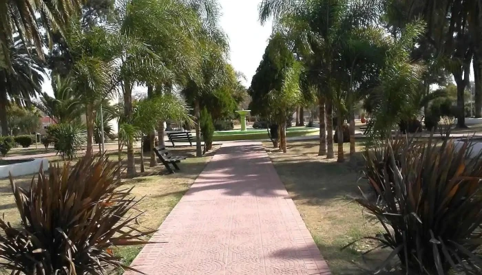 Municipalidad De Obispo Trejo -  Paisaje - Gral. Paz