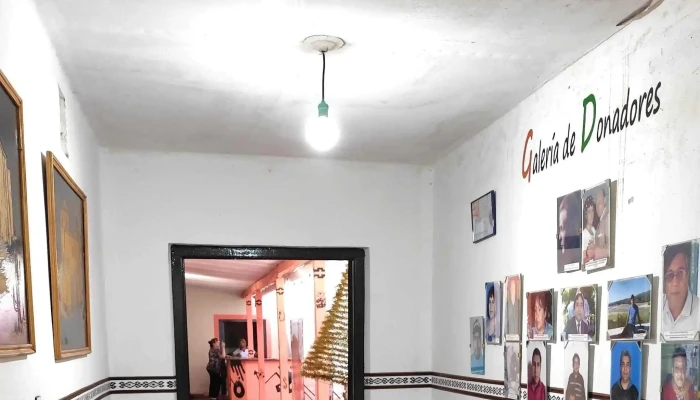 Museo Tullio Robaudi -  Telefono - Tinogasta
