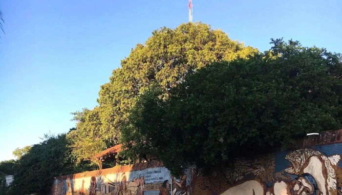 Paseo Peatonal Y Mural De La Avenida Italia -  Instagram - Can