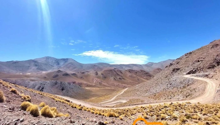 Pastoras De Altura - Salta