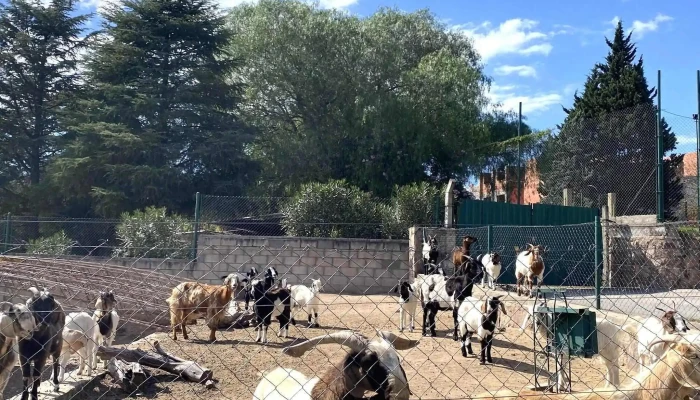Pekos Multiparque Abierto Ahora - Villa Carlos Paz