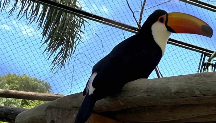 Pekos Multiparque Como Llegar - Villa Carlos Paz