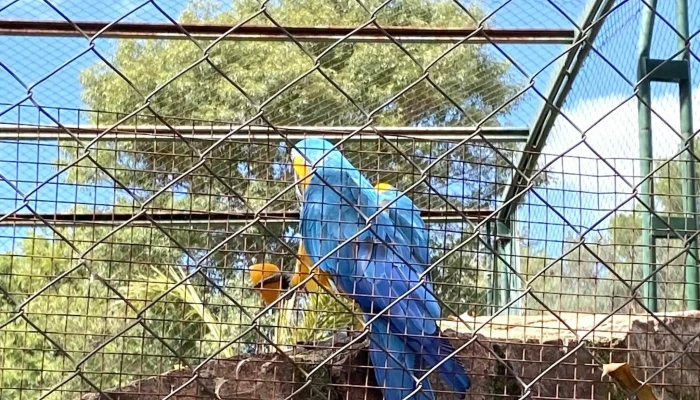 Pekos Multiparque Villa Carlos Paz - Villa Carlos Paz