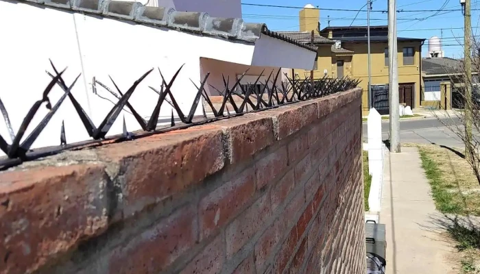 Pinches de seguridad perimetral - Córdoba