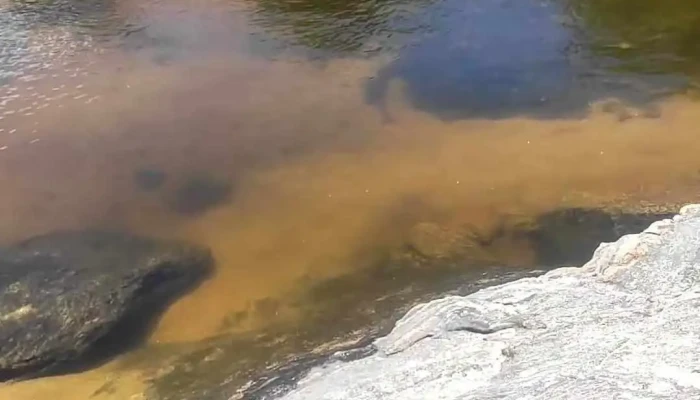 Playa Piedra Del Indio -  Videos - Cuesta Blanca