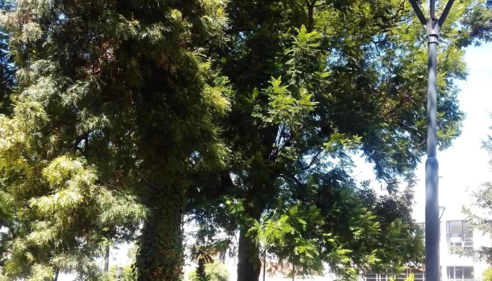 Plaza 25 De Mayo -  Ubicacion - San Fernando del Valle de Catamarca