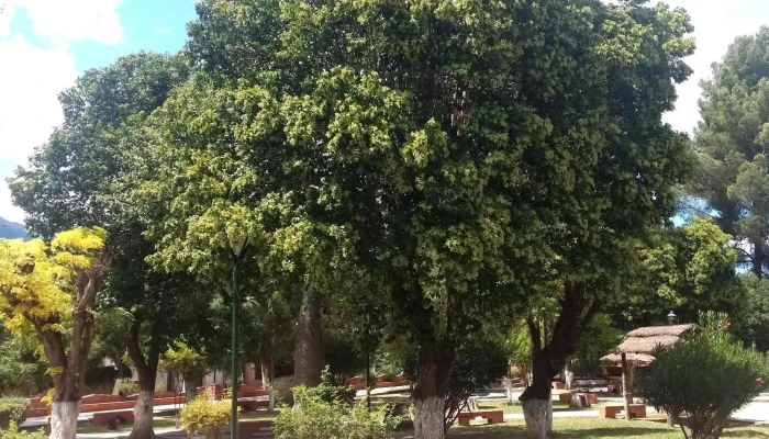 Plaza Bernabe Araoz Puntaje - La Puerta