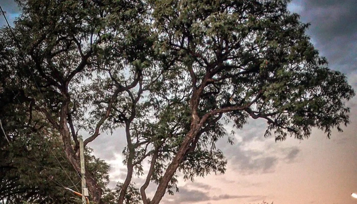 Plaza El Aborigen -  Descuentos - San Fernando del Valle de Catamarca