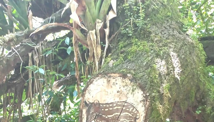 Puerta Del Cielo -  Precios - Yerba Buena