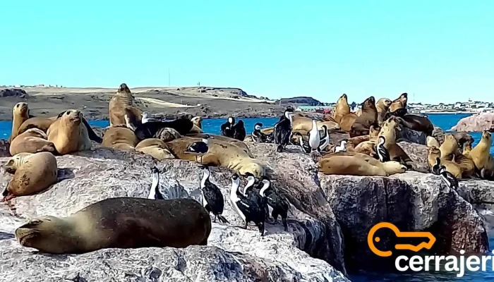 Puerto Deseado -  Descuentos - Puerto Deseado