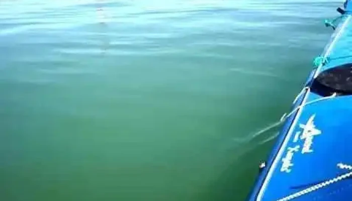 Puerto San Julian -  Videos - Puerto San Julian