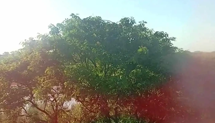 Roque Saenz Pena Chaco Videos - Sáenz Peña