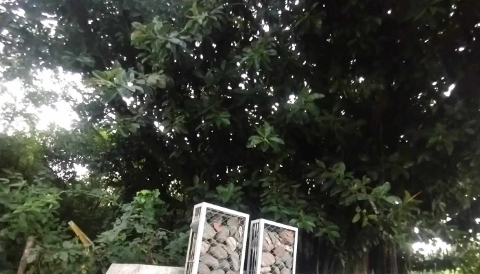 Rotonda Horco Molle - Yerba Buena