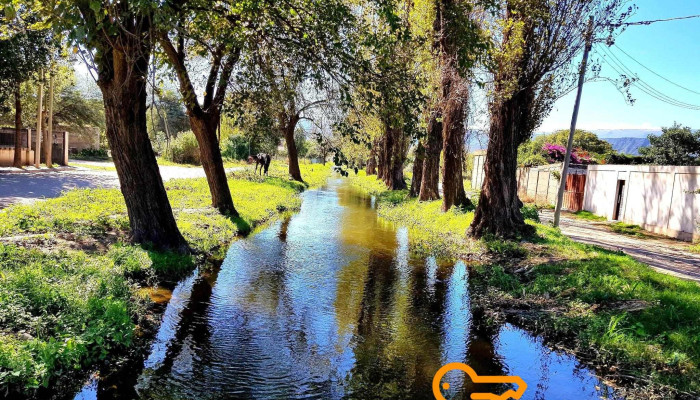 San Isidro -  Numero - San Isidro