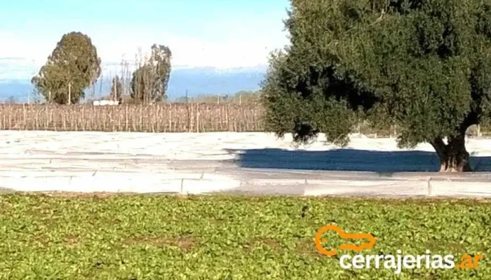 San Martín - Argentina