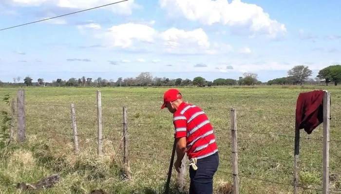 Secheep Ciervo Petiso - Chaco