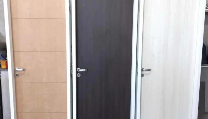 Segurmax Puertas Interiores Y Blindadas -  Puerta - Roldán