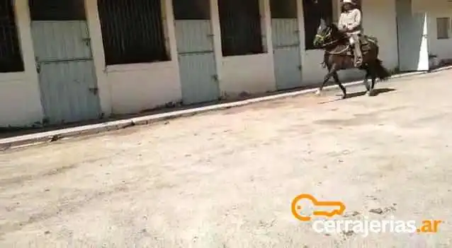 Taymenta Posada De Campo Boutique -  Videos - Villa Gral. San Martin