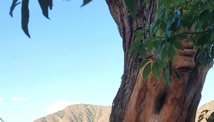 Terminal De Omnibus Andalgala Videos - Andalgalá
