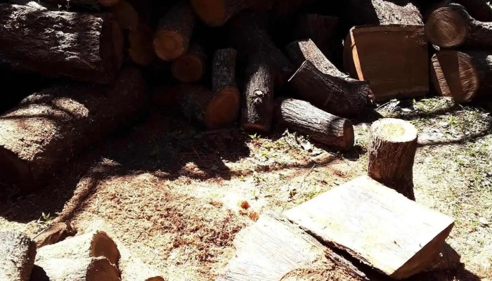 Tesoros De Madera -  Ubicacion - Santa Ana