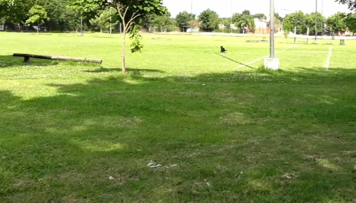 Tucuman Rugby Anexo Campo Norte Direccion - Yerba Buena