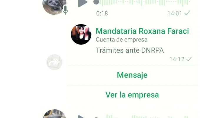 Vip -    Empresa De Servicios Puerta A Puerta Zapala - Zapala