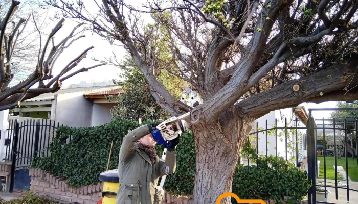 Vivero Velez Ancaten Servicio De Jardinería En General - Los Perales