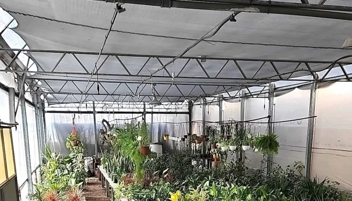 Vivero Verde Urbano -  Comentarios - Dorrego